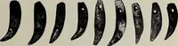 An illustration from Ohio archæological and historical quarterly (1887)