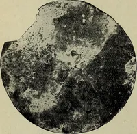 An illustration from Ohio archæological and historical quarterly (1887)