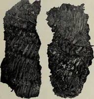 An illustration from Ohio archæological and historical quarterly (1887)