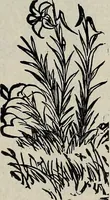 An illustration from Ohio archæological and historical quarterly (1887)