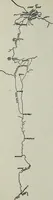 An illustration from Ohio archæological and historical quarterly (1887)