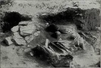 Picture 12 of 94 from Ohio archæological and historical quarterly (1887), leaf 52