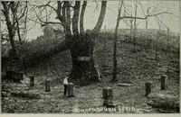 An illustration from Ohio archæological and historical quarterly (1887)