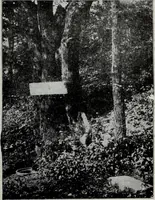 An illustration from Ohio archæological and historical quarterly (1887)