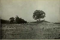An illustration from Ohio archæological and historical quarterly (1887)