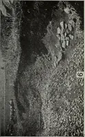 An illustration from Ohio archæological and historical quarterly (1887)