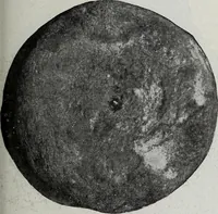 An illustration from Ohio archæological and historical quarterly (1887)