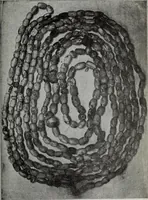 An illustration from Ohio archæological and historical quarterly (1887)