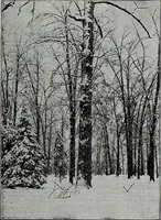 An illustration from Ohio archæological and historical quarterly (1887)