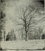 An illustration from Ohio archæological and historical quarterly (1887)