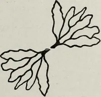 An illustration from Ohio archæological and historical quarterly (1887)