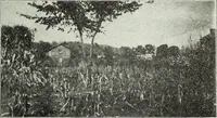 An illustration from Ohio archæological and historical quarterly (1887)