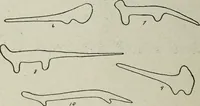 An illustration from Ohio archæological and historical quarterly (1887)