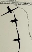 Picture 20 of 54 from Ohio archæological and historical quarterly (1887), leaf 30