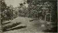 An illustration from Ohio archæological and historical quarterly (1887)