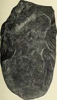 An illustration from Ohio archæological and historical quarterly (1887)