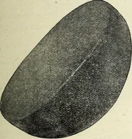 An illustration from Ohio archæological and historical quarterly (1887)