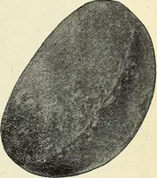 An illustration from Ohio archæological and historical quarterly (1887)