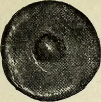 An illustration from Ohio archæological and historical quarterly (1887)