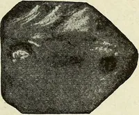 An illustration from Ohio archæological and historical quarterly (1887)