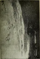 An illustration from Ohio archæological and historical quarterly (1887)