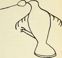 An illustration from Ohio archæological and historical quarterly (1887)