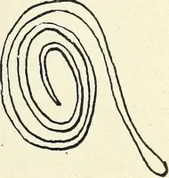 An illustration from Ohio archæological and historical quarterly (1887)