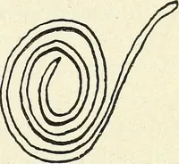 An illustration from Ohio archæological and historical quarterly (1887)