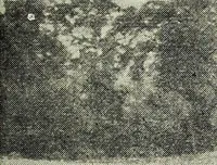 An illustration from Ohio archæological and historical quarterly (1887)