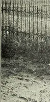 An illustration from Ohio archæological and historical quarterly (1887)