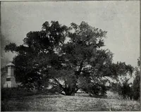 An illustration from Ohio archæological and historical quarterly (1887)