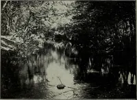 An illustration from Ohio archæological and historical quarterly (1887)
