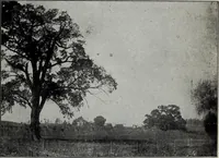 An illustration from Ohio archæological and historical quarterly (1887)
