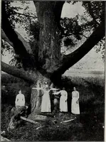 An illustration from Ohio archæological and historical quarterly (1887)