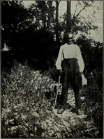 An illustration from Ohio archæological and historical quarterly (1887)