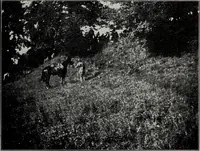 An illustration from Ohio archæological and historical quarterly (1887)