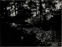 An illustration from Ohio archæological and historical quarterly (1887)
