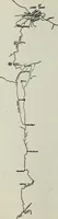 An illustration from Ohio archæological and historical quarterly (1887)