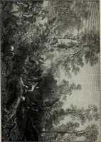 An illustration from Ohio archæological and historical quarterly (1887)