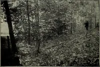 An illustration from Ohio archæological and historical quarterly (1887)