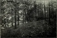 An illustration from Ohio archæological and historical quarterly (1887)