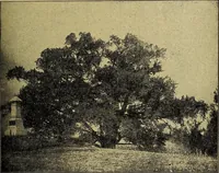 An illustration from Ohio archæological and historical quarterly (1887)
