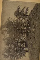 Picture 20 of 160 from Ohio archæological and historical quarterly (1887), leaf 235