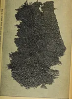 Picture 24 of 160 from Ohio archæological and historical quarterly (1887), leaf 244