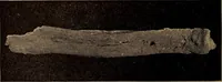 Picture 29 of 160 from Ohio archæological and historical quarterly (1887), leaf 259