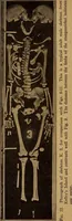 Picture 30 of 160 from Ohio archæological and historical quarterly (1887), leaf 261