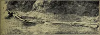 An illustration from Ohio archæological and historical quarterly (1887)