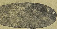 Picture 35 of 160 from Ohio archæological and historical quarterly (1887), leaf 268