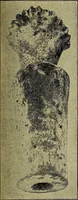 Picture 36 of 160 from Ohio archæological and historical quarterly (1887), leaf 270