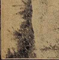 Picture 44 of 160 from Ohio archæological and historical quarterly (1887), leaf 313